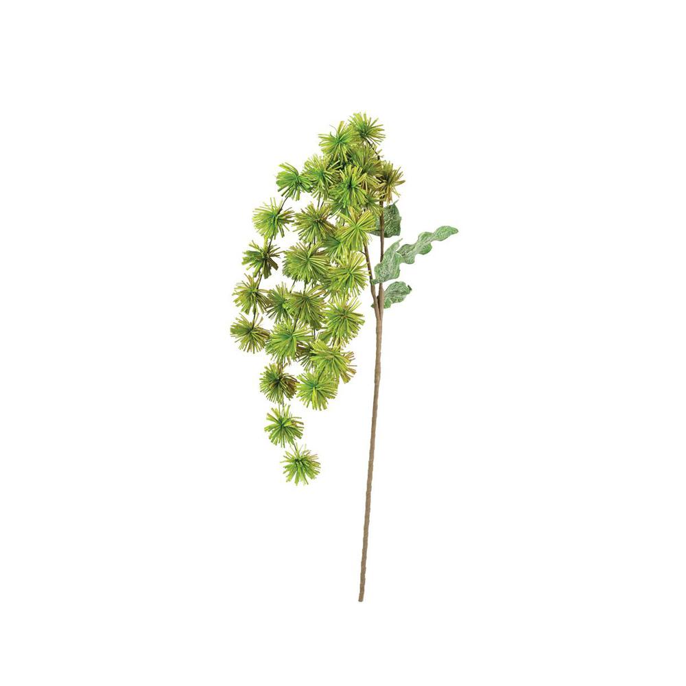 Botanica #3323