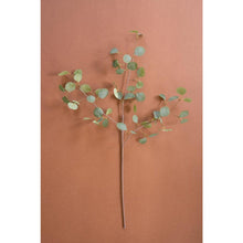 Botanica #3508
