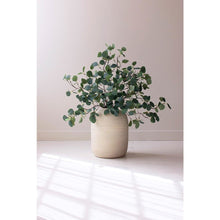Botanica #3508