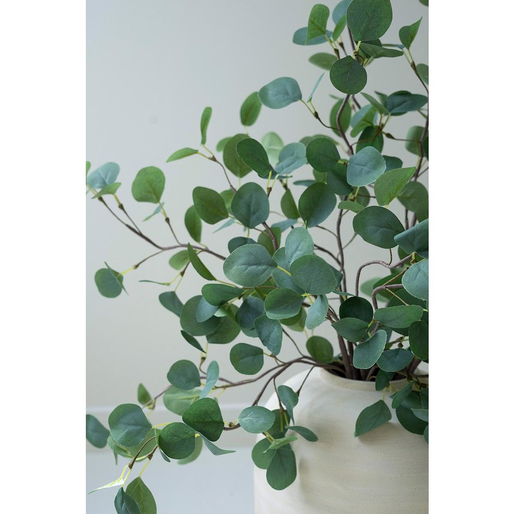 Botanica #3508