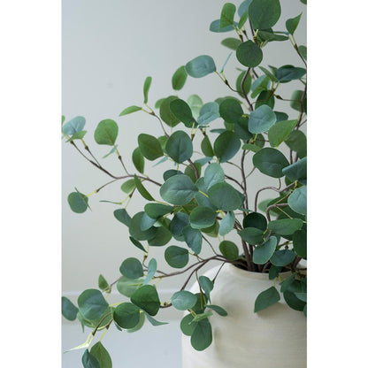 Botanica #3508