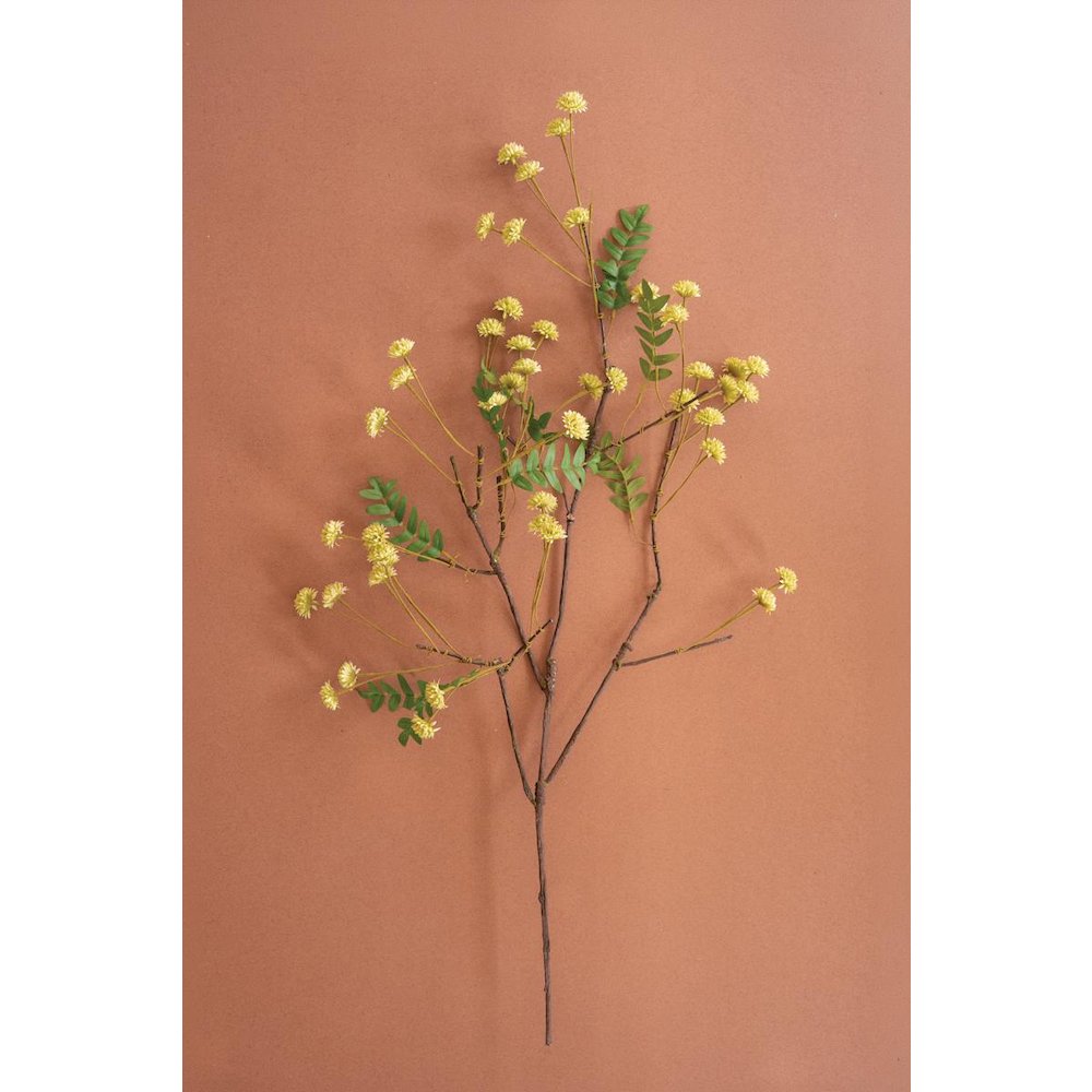 Botanica #3519