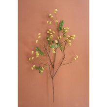 Botanica #3519