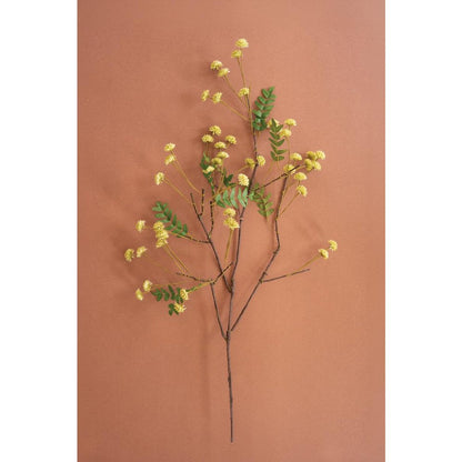 Botanica #3519