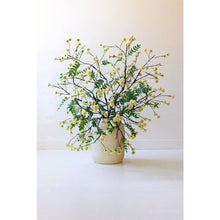Botanica #3519