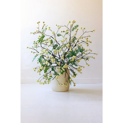 Botanica #3519