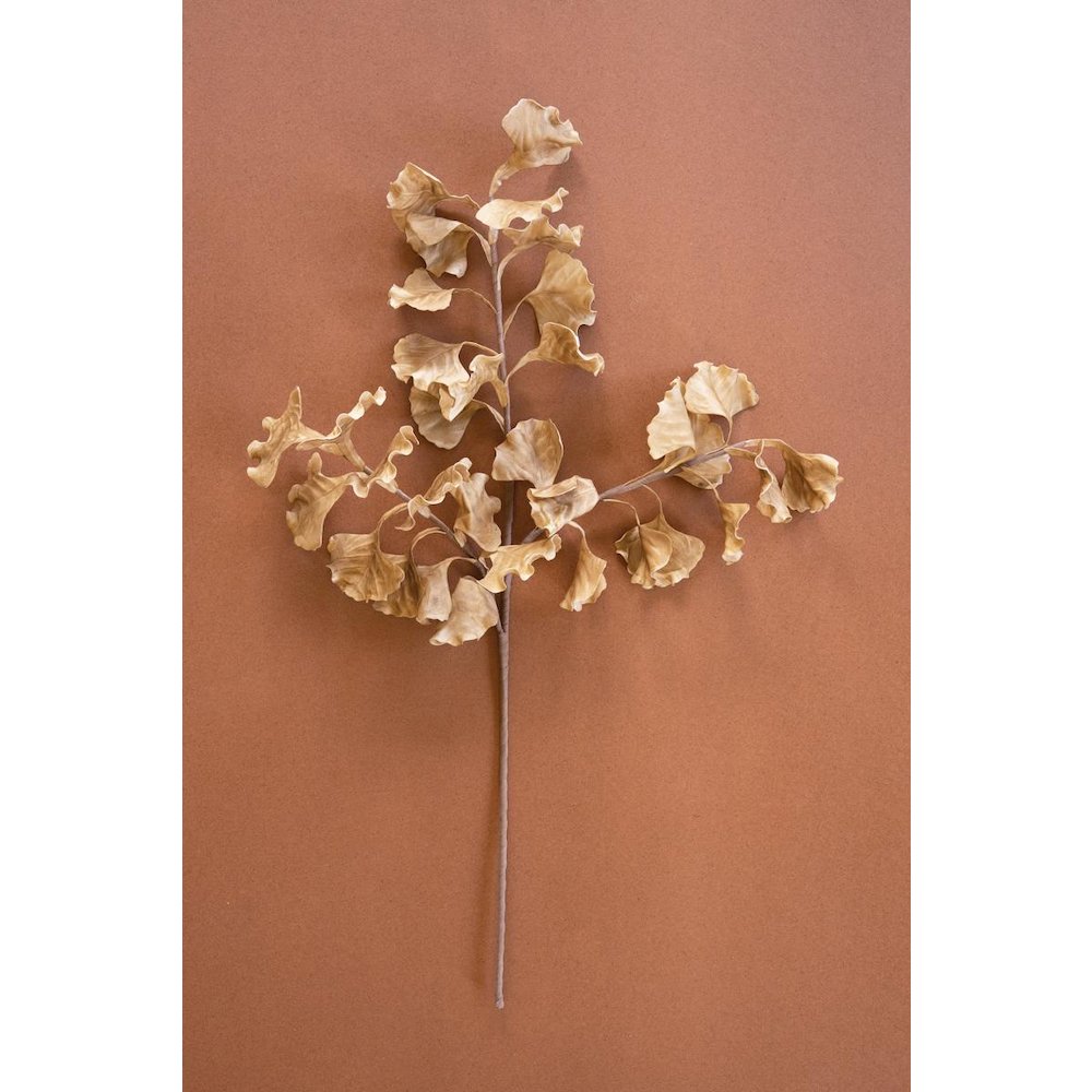 Botanica #3558