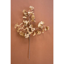 Botanica #3558