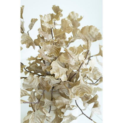 Botanica #3558