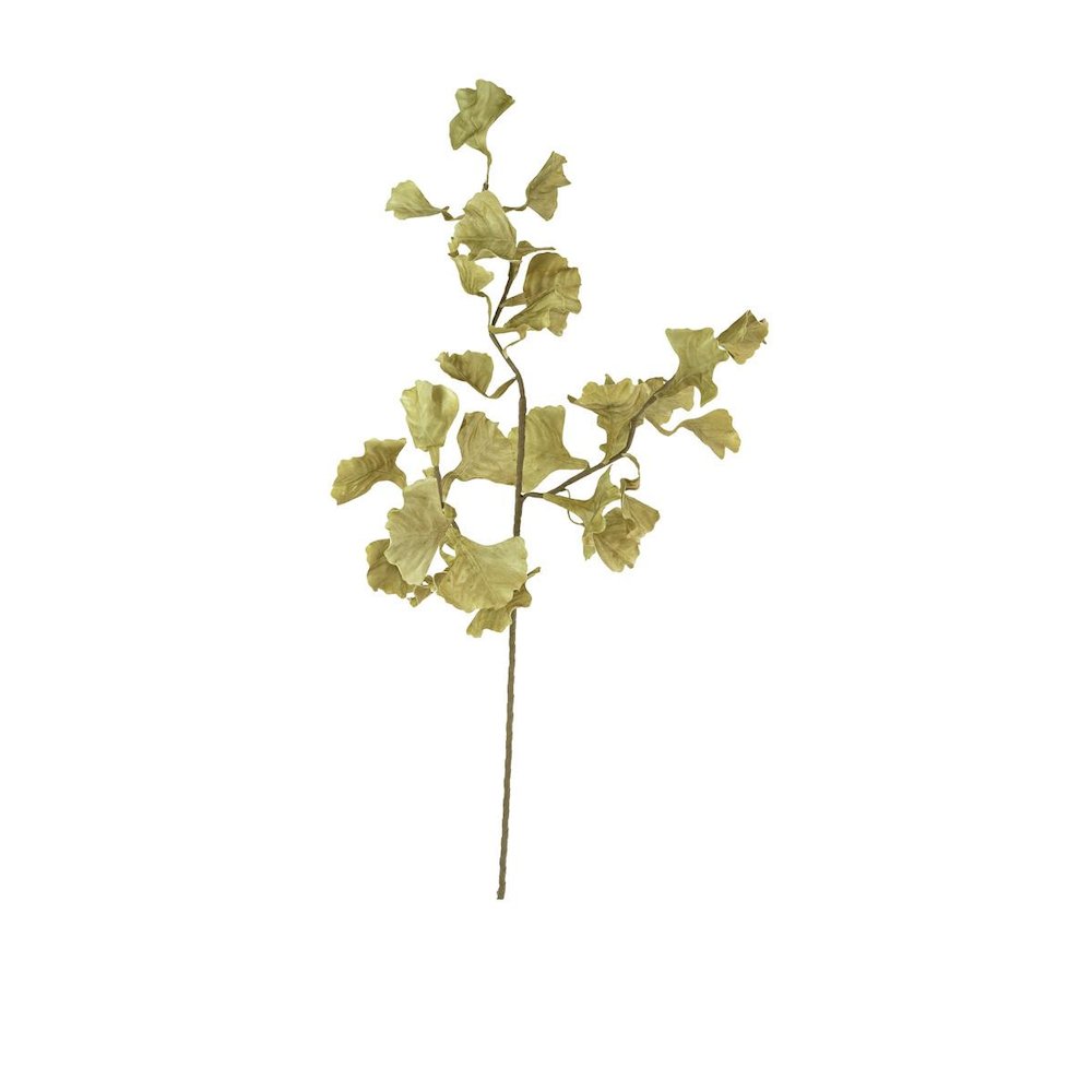 Botanica #3558
