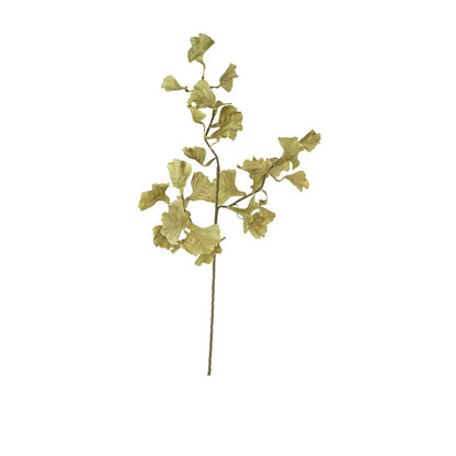 Botanica #3558