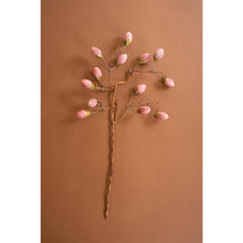 Botanica #3572