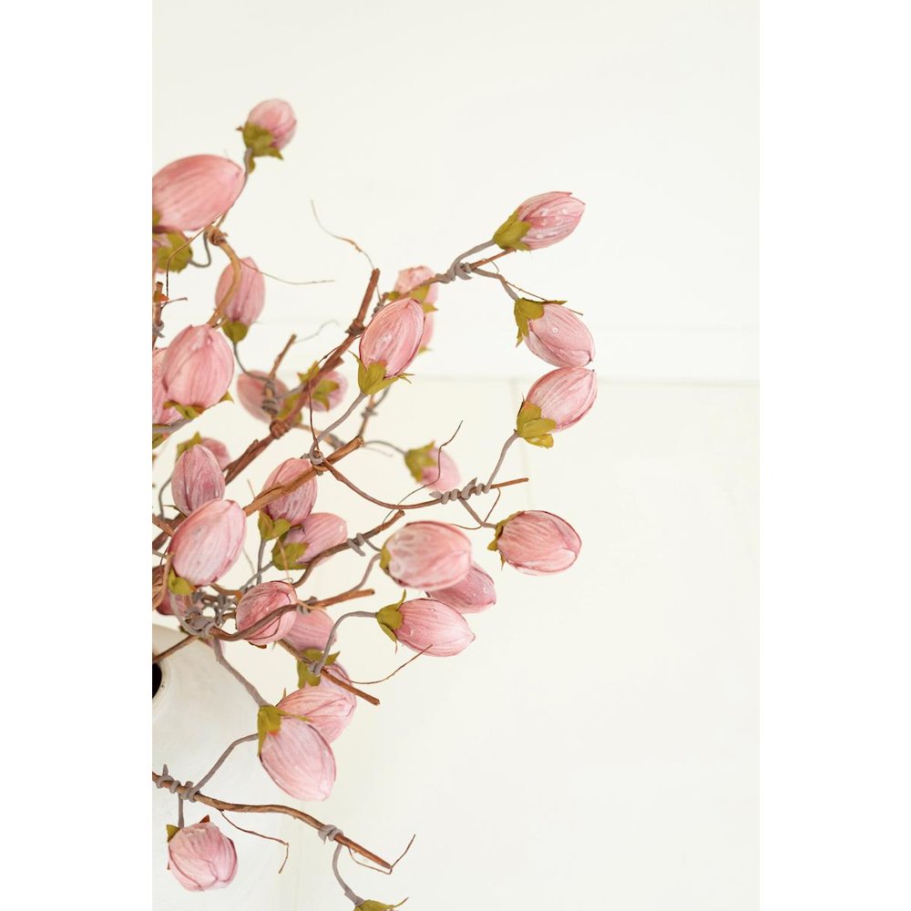 Botanica #3572