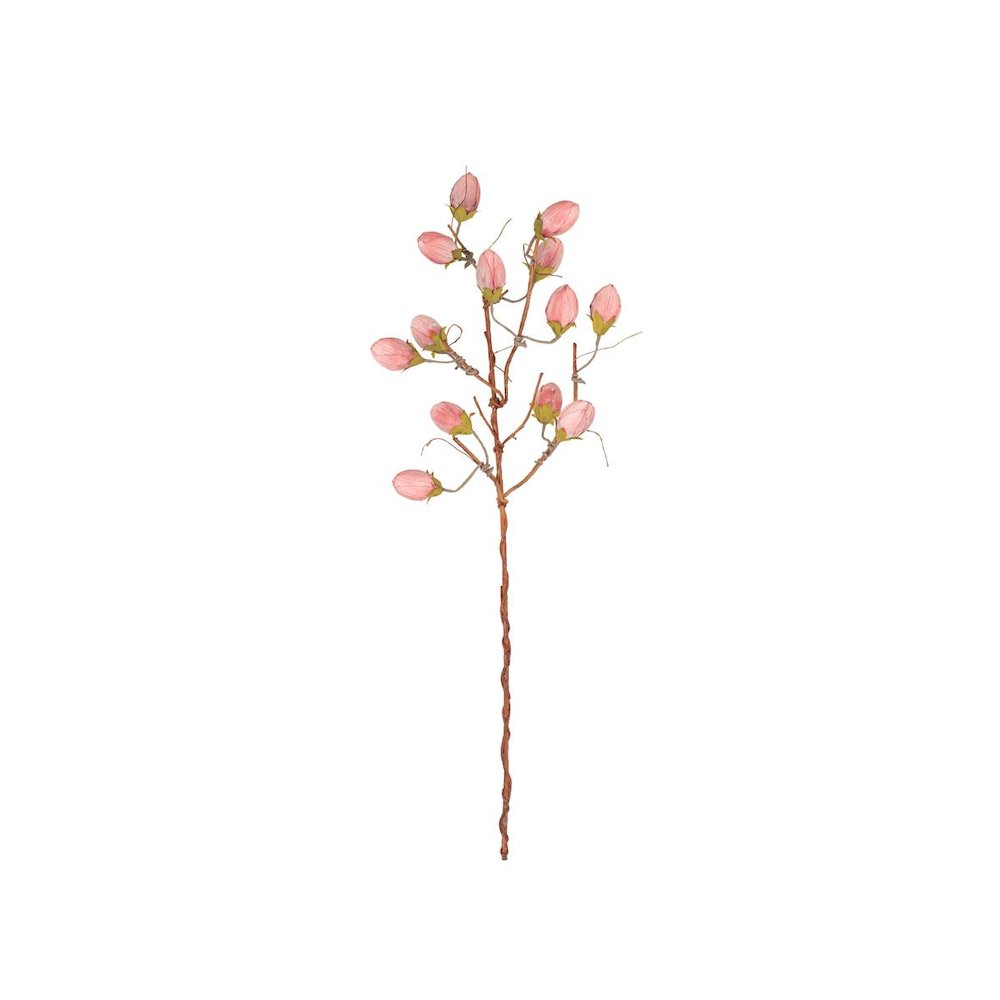 Botanica #3572