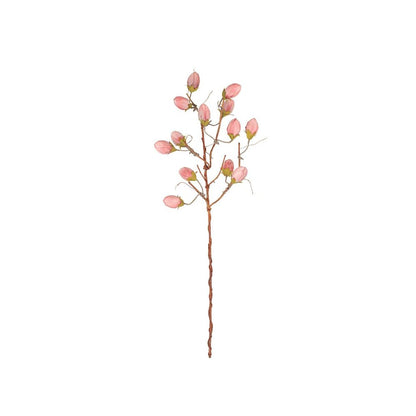 Botanica #3572