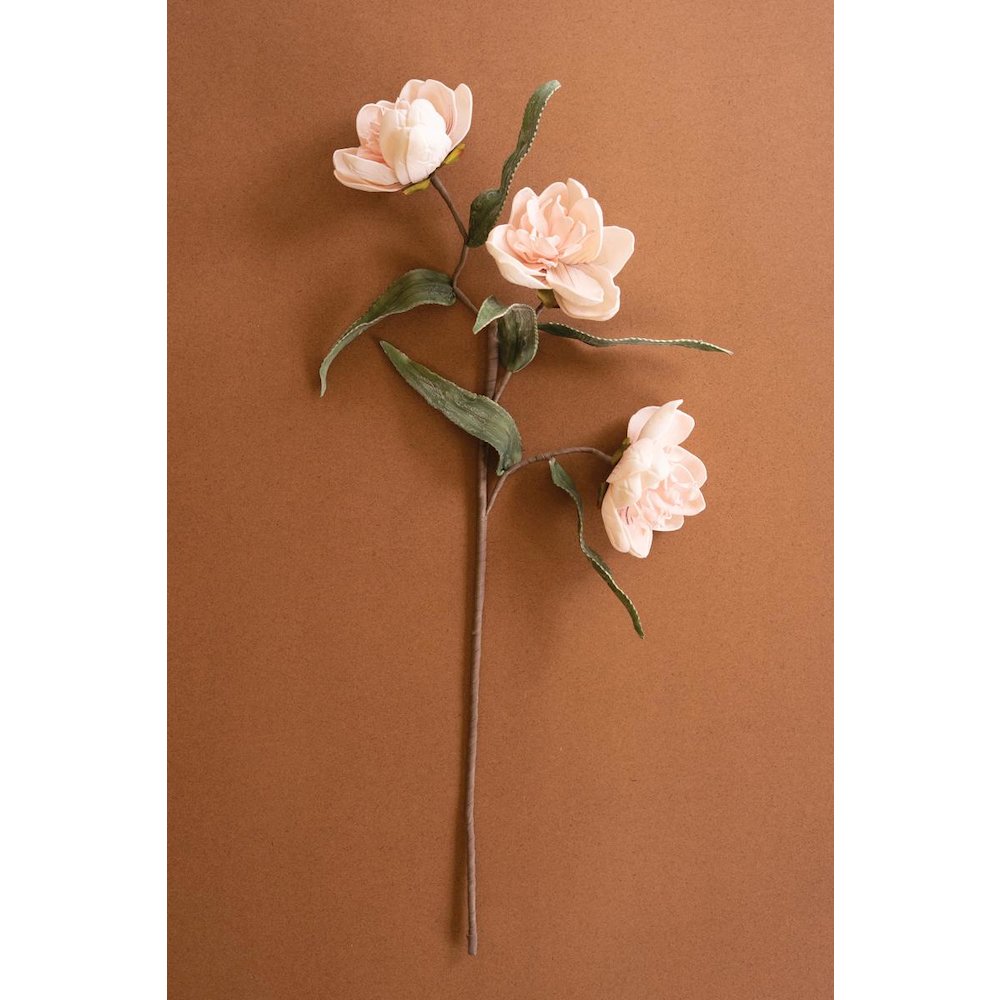 Botanica #3573