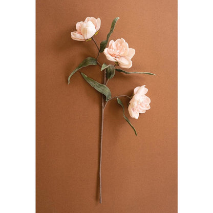 Botanica #3573