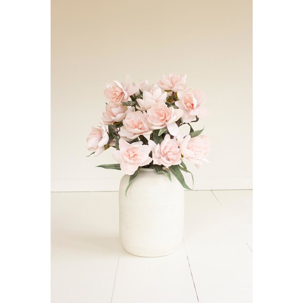 Botanica #3573