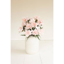 Botanica #3573