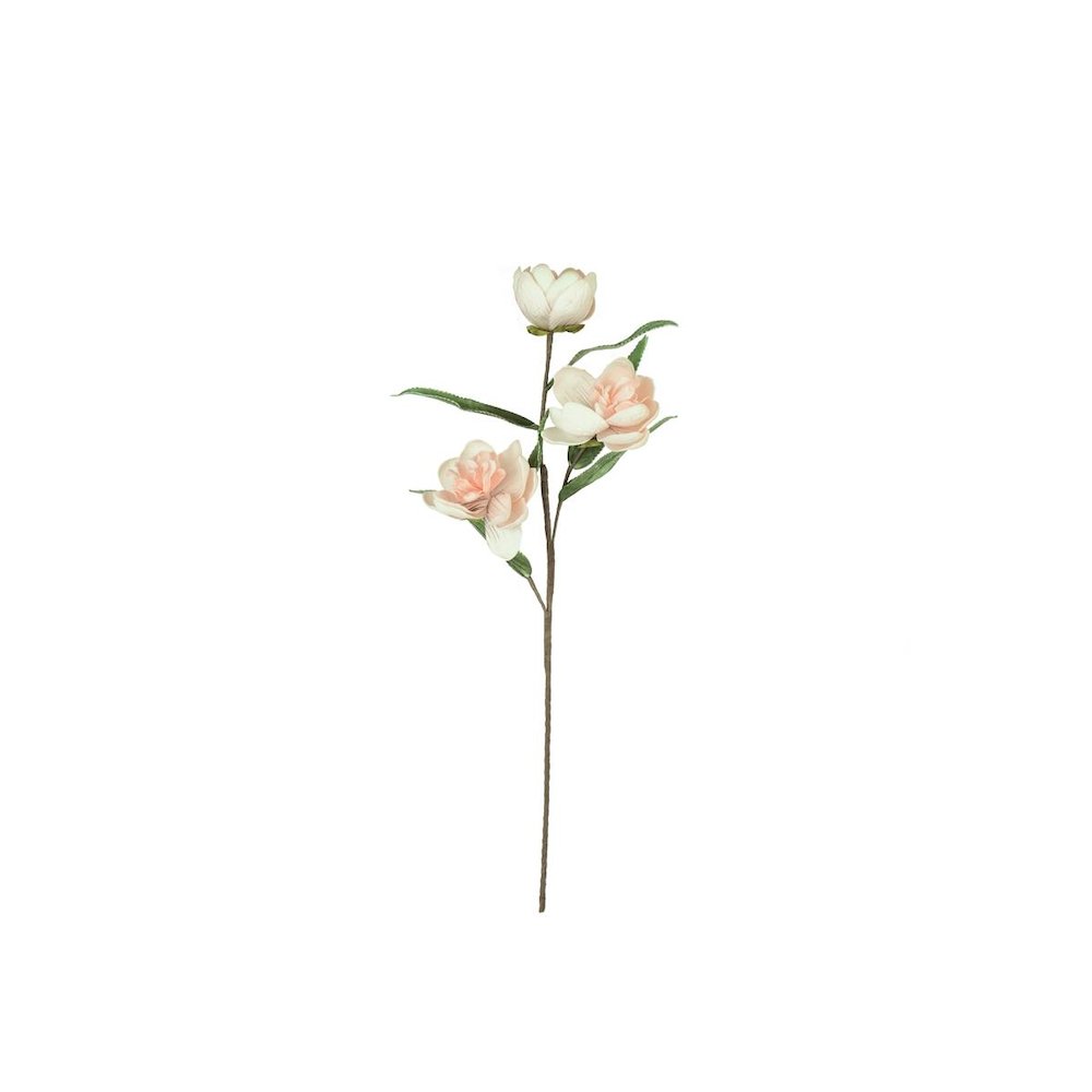 Botanica #3573