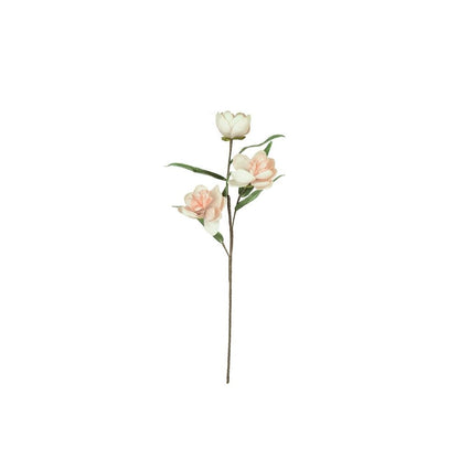 Botanica #3573
