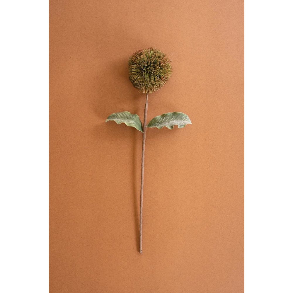 Botanica #3620