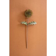 Botanica #3620