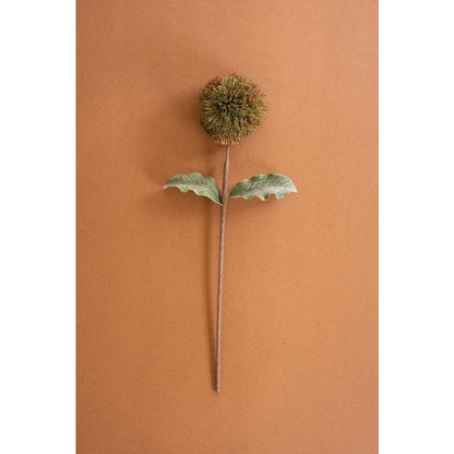 Botanica #3620
