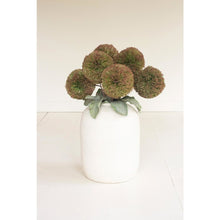 Botanica #3620
