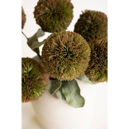 Botanica #3620