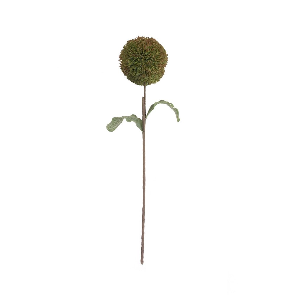 Botanica #3620