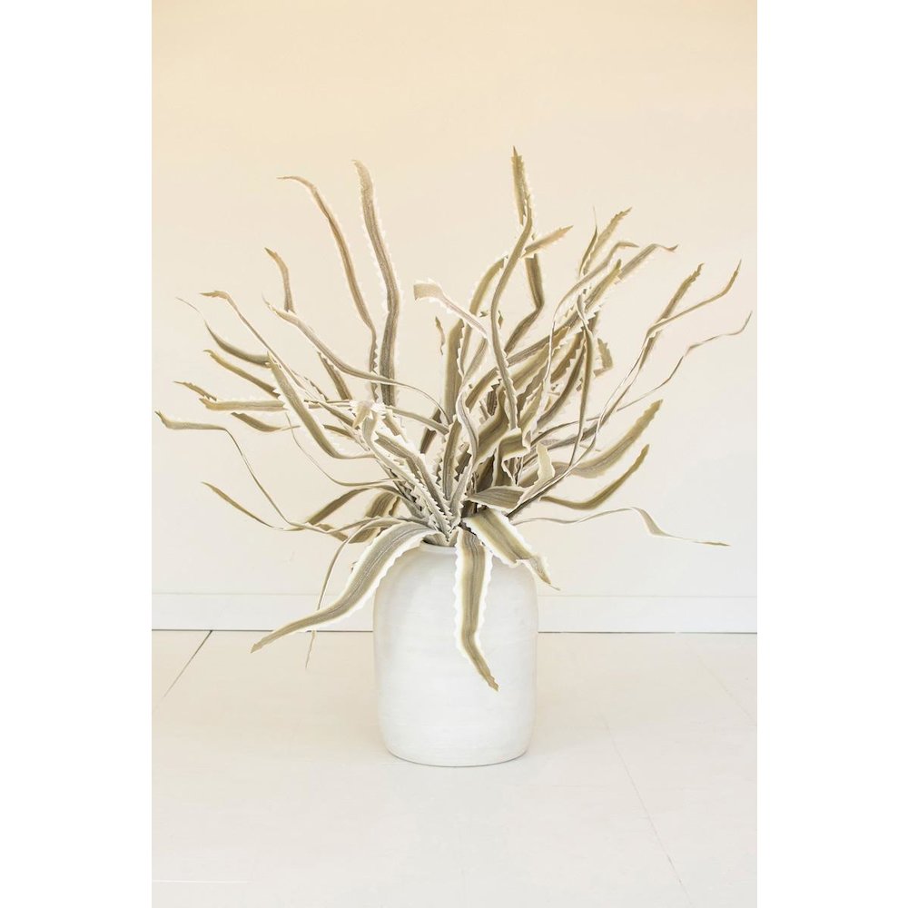 Botanica #3656
