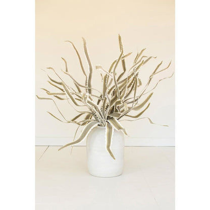Botanica #3656