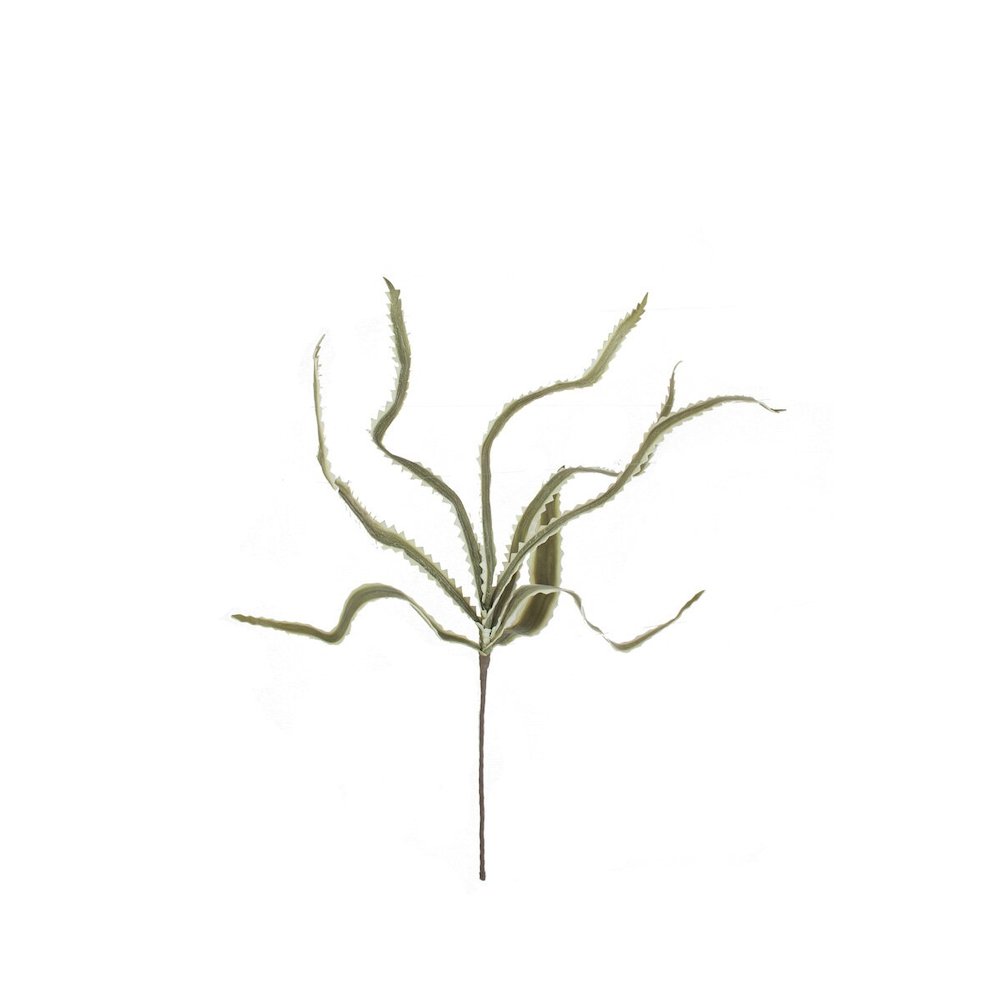 Botanica #3656