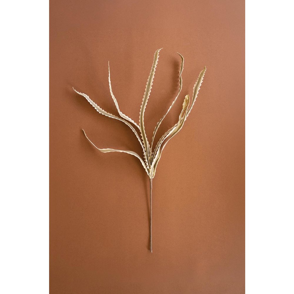 Botanica #3656
