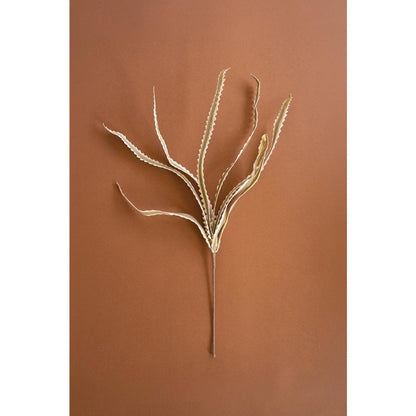 Botanica #3656