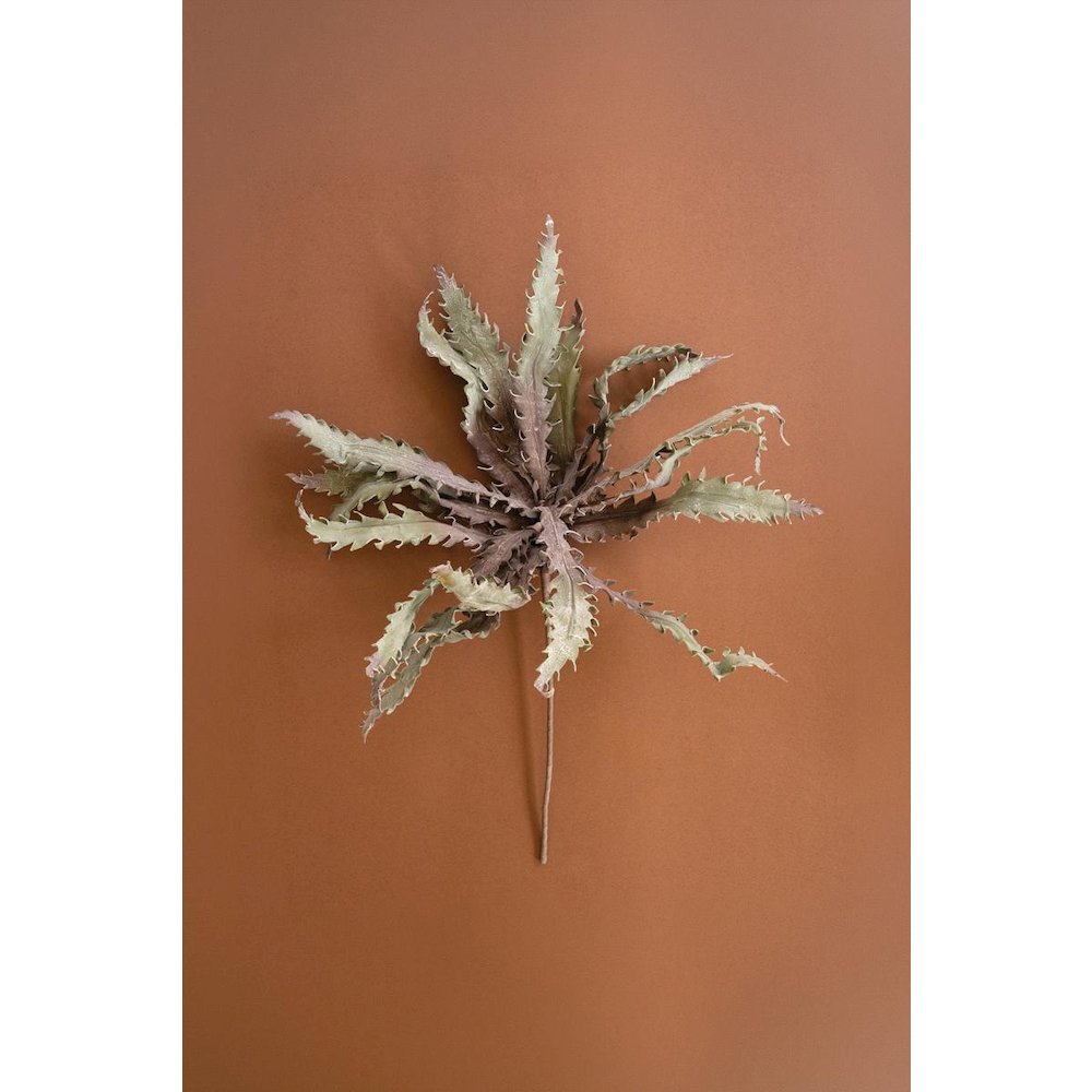 Botanica #3658