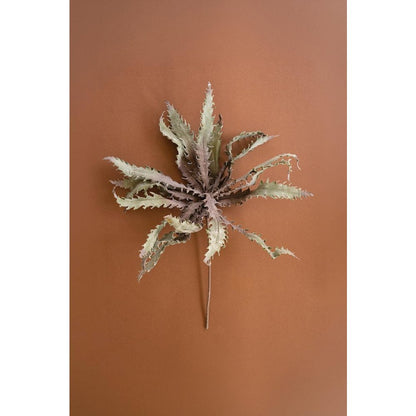 Botanica #3658
