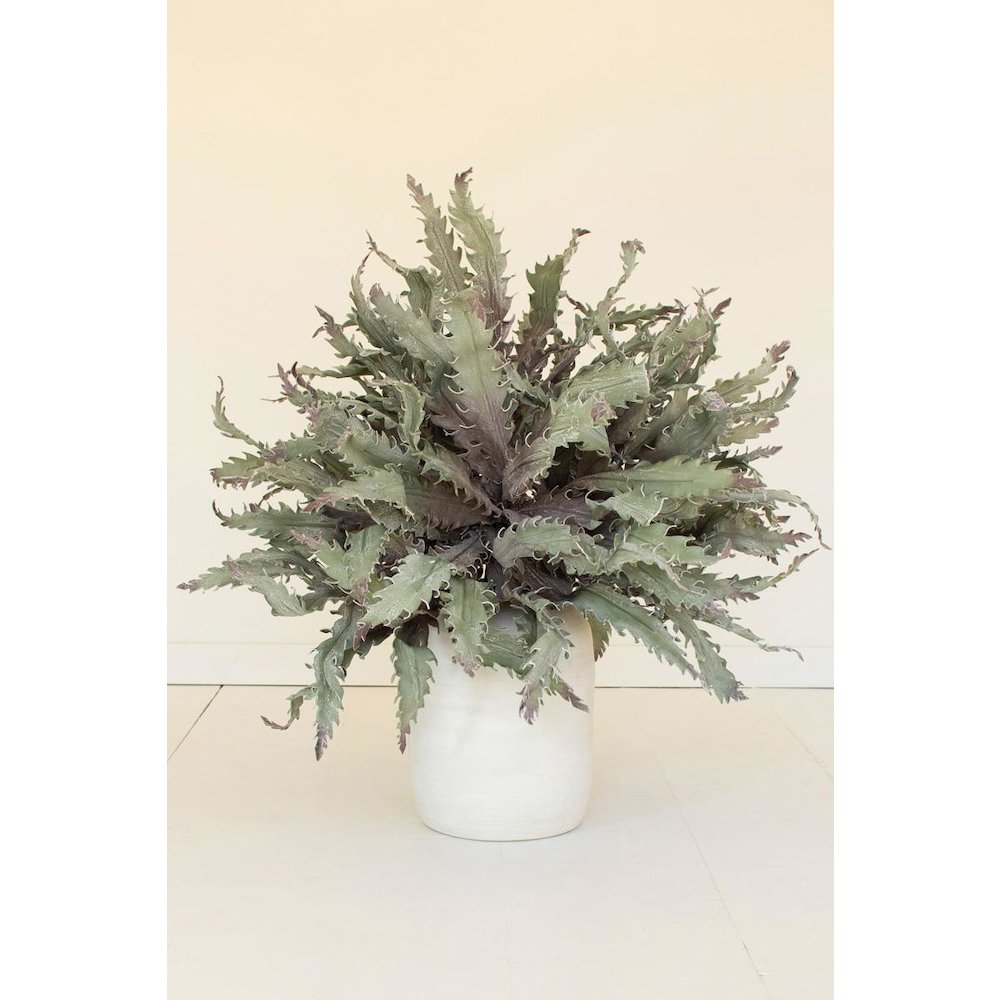 Botanica #3658