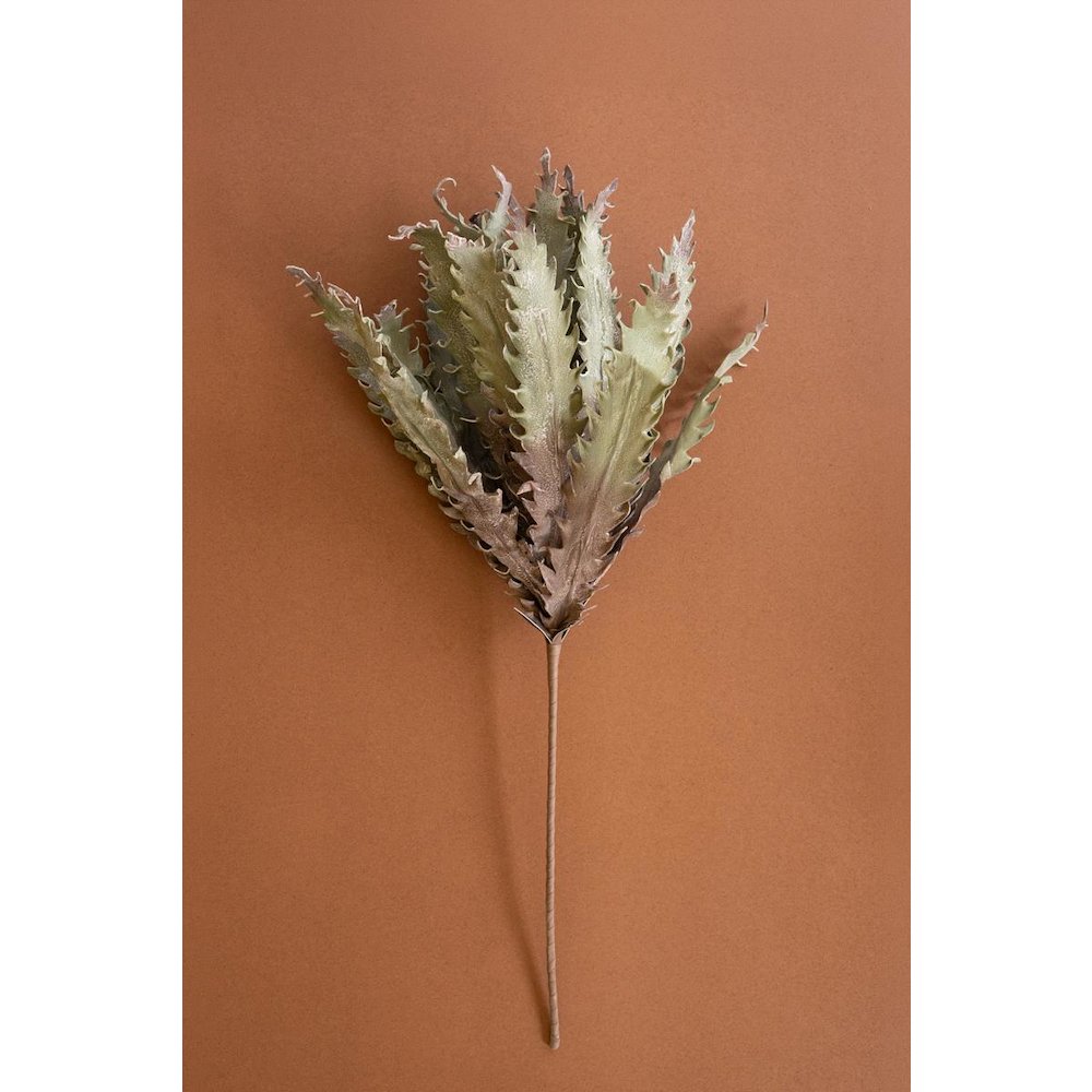 Botanica #3658