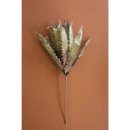 Botanica #3658