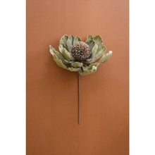 Botanica #3689