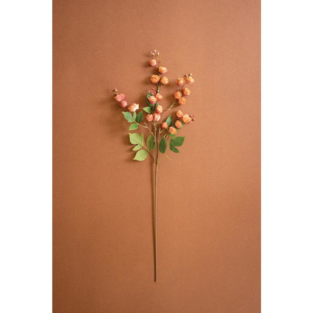 Botanica #3697