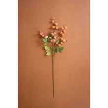 Botanica #3697