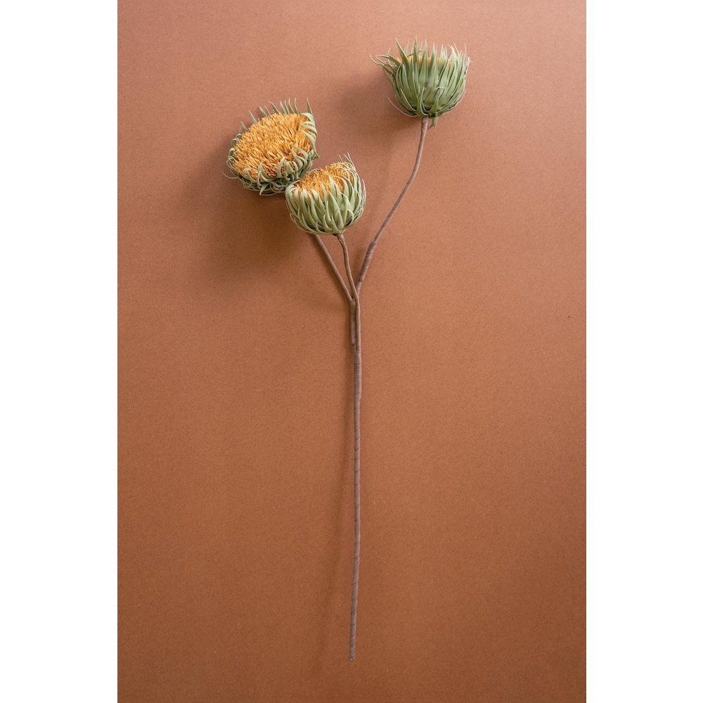 Botanica #3700