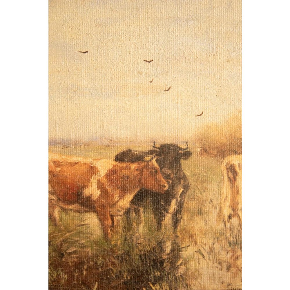 Canvas Paint Over Print Cows #1