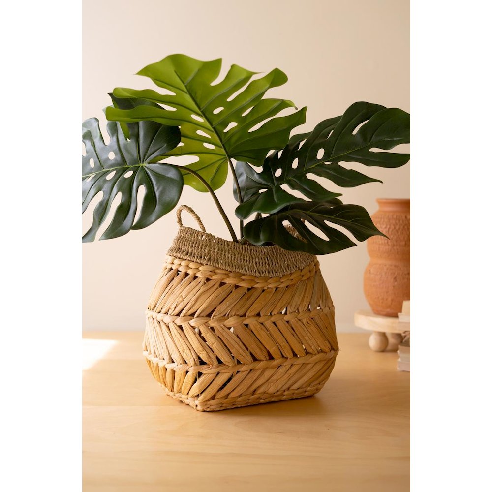 Water Hyacinth Basket with Two Handles