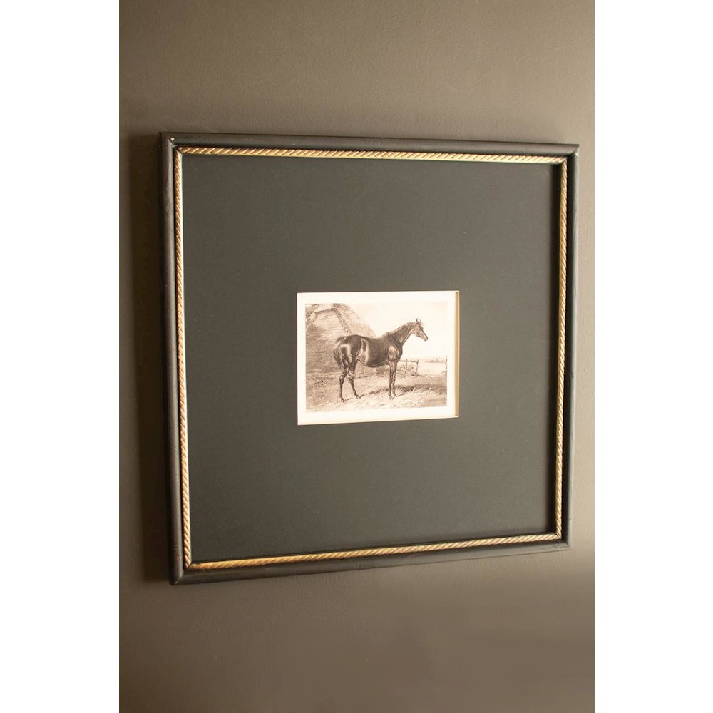 Set of Two Framed Horses Print Under Glass