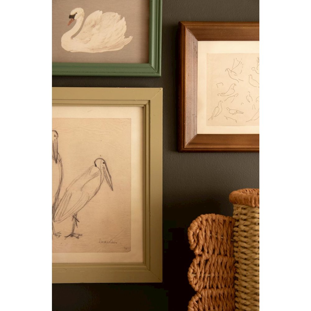 Set of Three Framed Birds Under Glass
