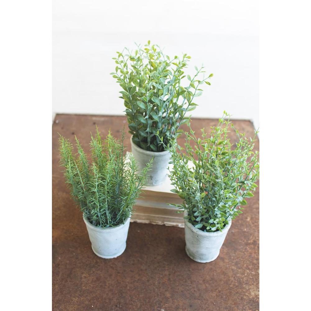 Set Of Three Artifial Herbs In Cement Pots